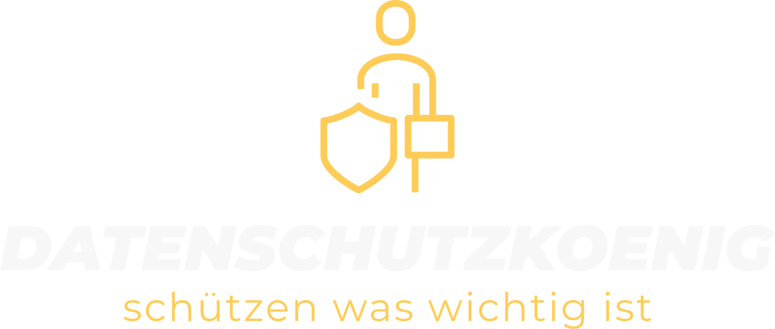 Datenschutzkönig – schützen, was wichtig ist